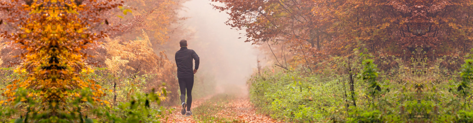 Running in foggy autumn forest
